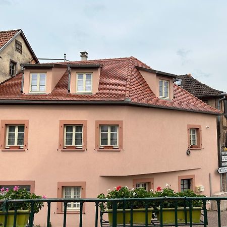 Gite Ma Maison كينتزهيم المظهر الخارجي الصورة