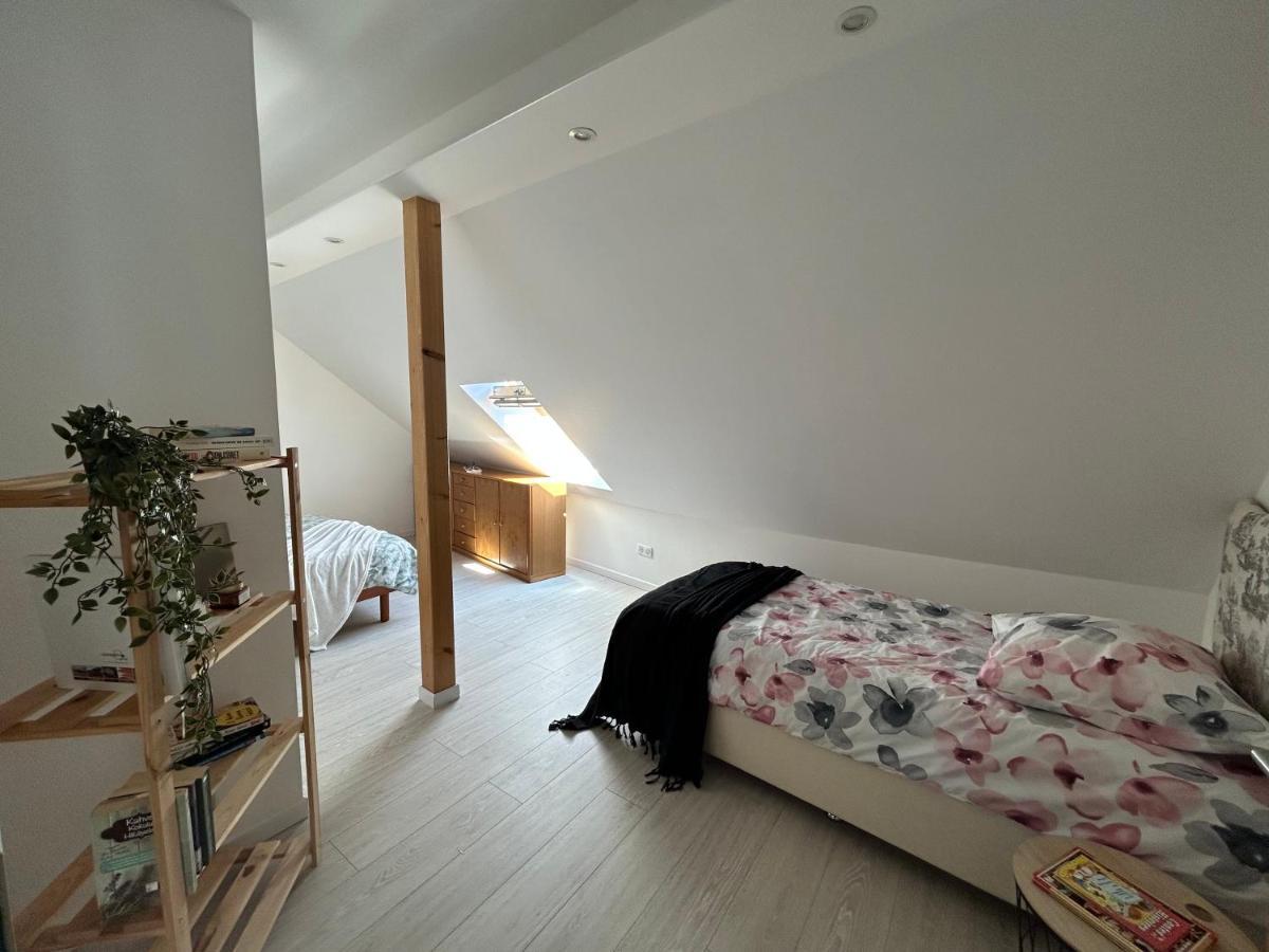 Gite Ma Maison كينتزهيم المظهر الخارجي الصورة